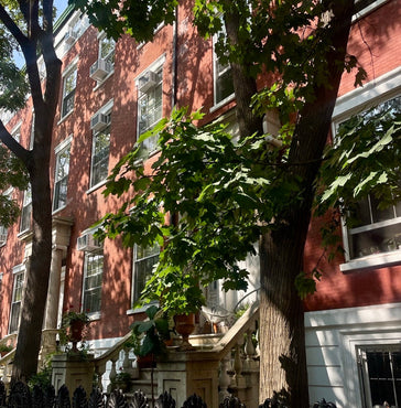 Best Thrift Shops in NYC